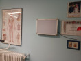 /album/galleria-fotografica/20240309-110232-jpg/